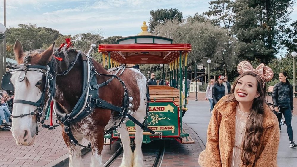Ever been on a horse-drawn carriage? Now’s your chance. Credit to @princesssjacq on Instagram