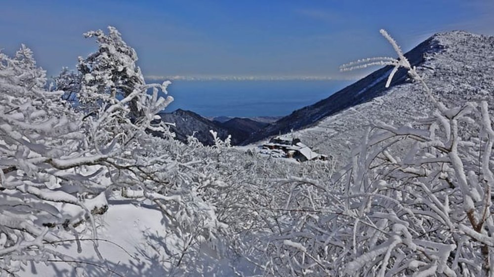 韓國賞雪推介 雪嶽山