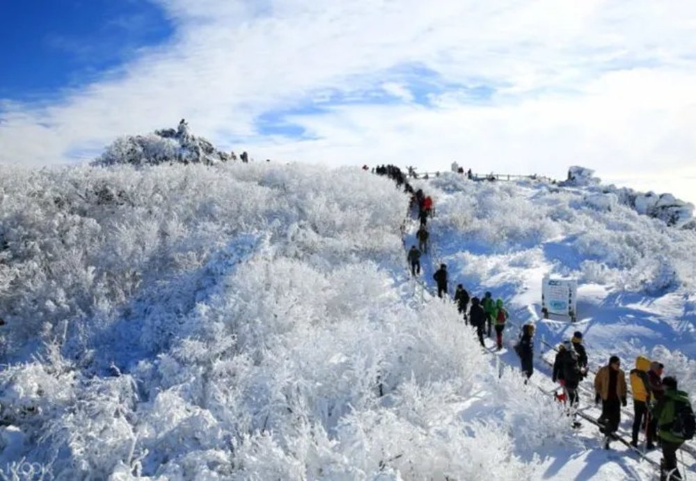 韓國賞雪推介  茂朱德裕山‧觀光纜車