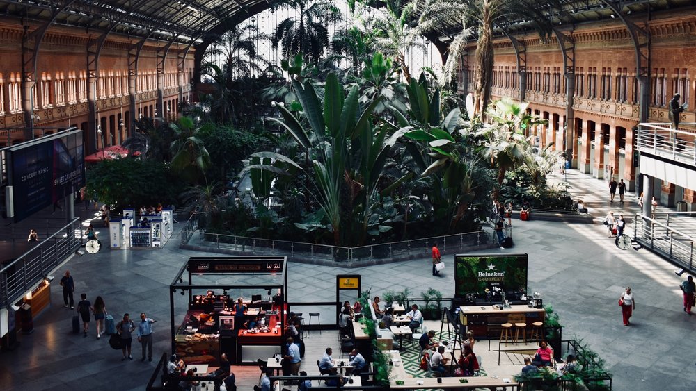 Explore the tropical garden at Madrid Atocha. Credits: mindaugas on Unsplash