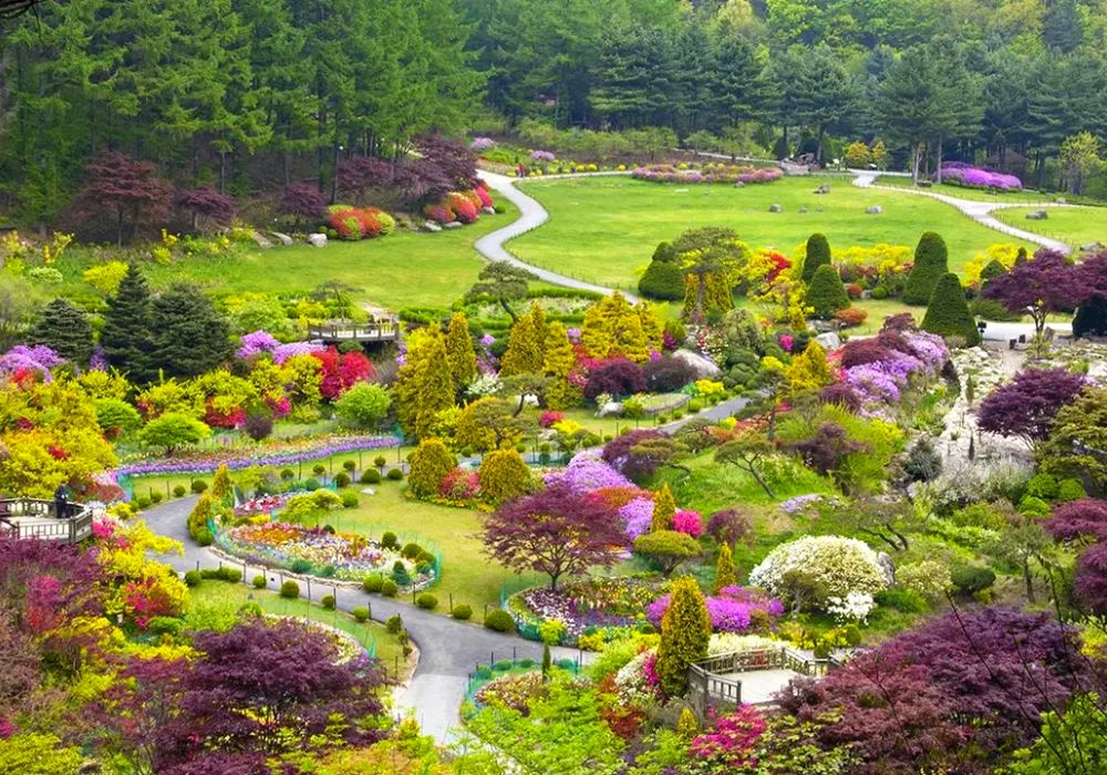 Tối: Lạc Vào Vườn Địa Đàng Tại Garden Of Morning Calm