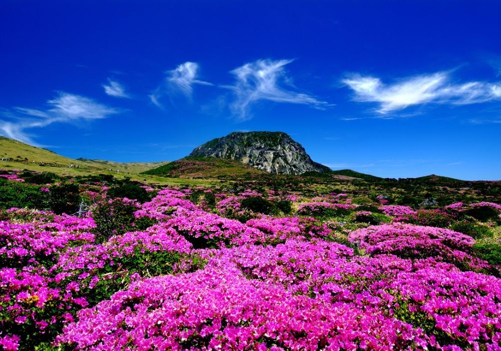 Trưa: Khám Phá Núi Hallasan Và Hang Động Manjanggul