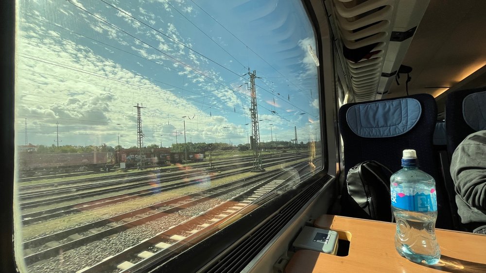 Make sure you get a window seat to get the best view on the train.