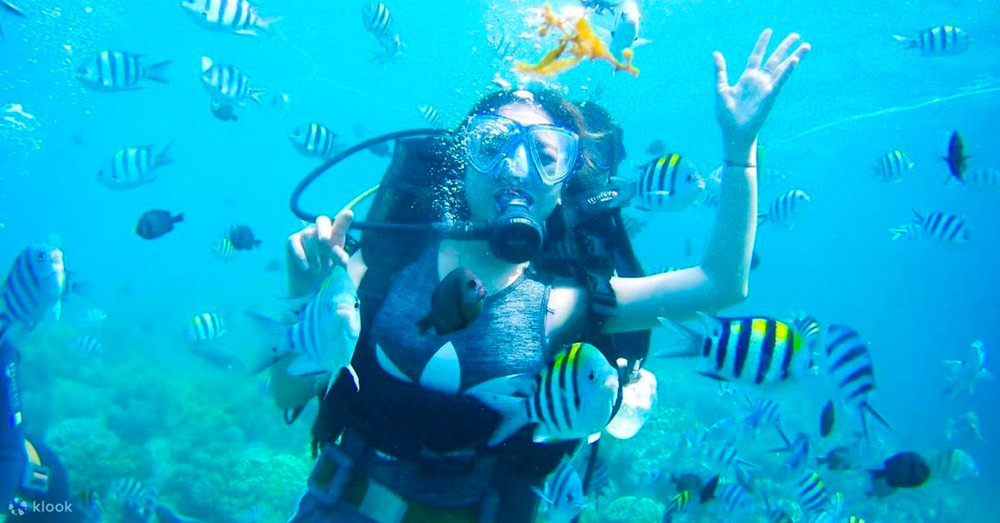 tour-du-lich-nha-trang