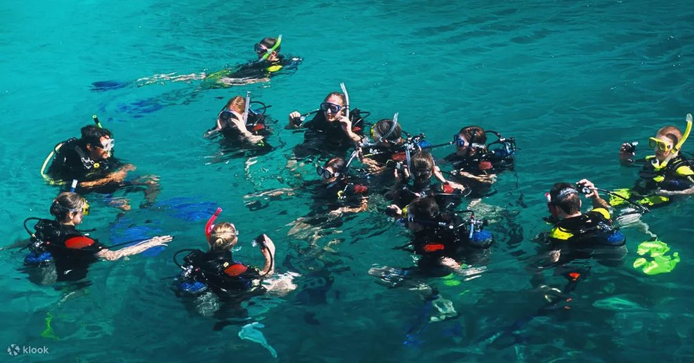 tour-du-lich-nha-trang-ngan-ngay