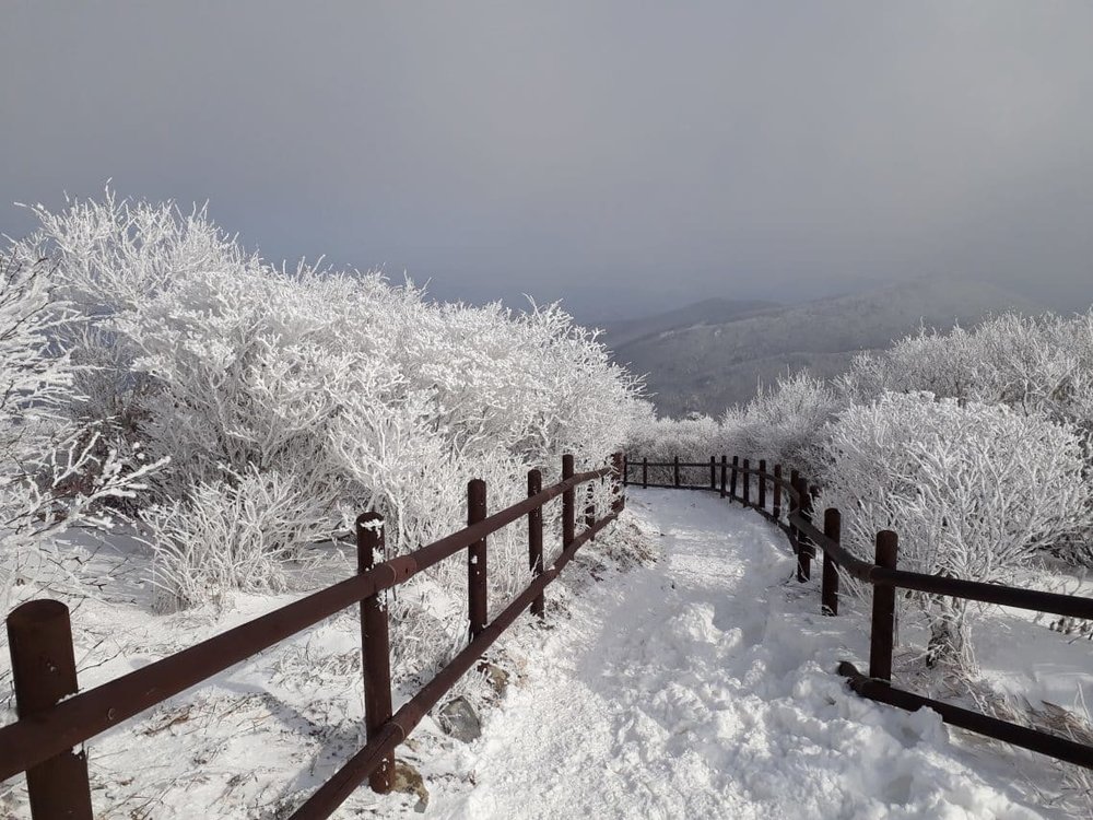 韓國賞雪推介 太白山