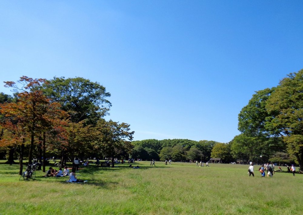 代々木公園