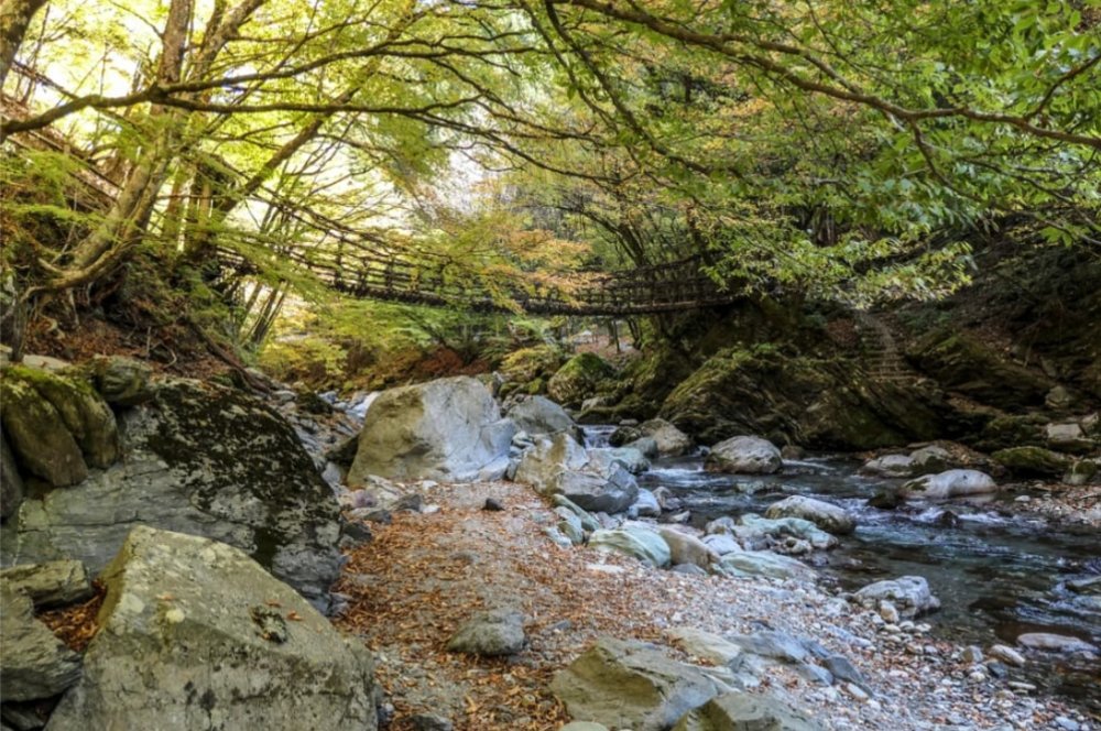 用滑索飛越德島祖谷