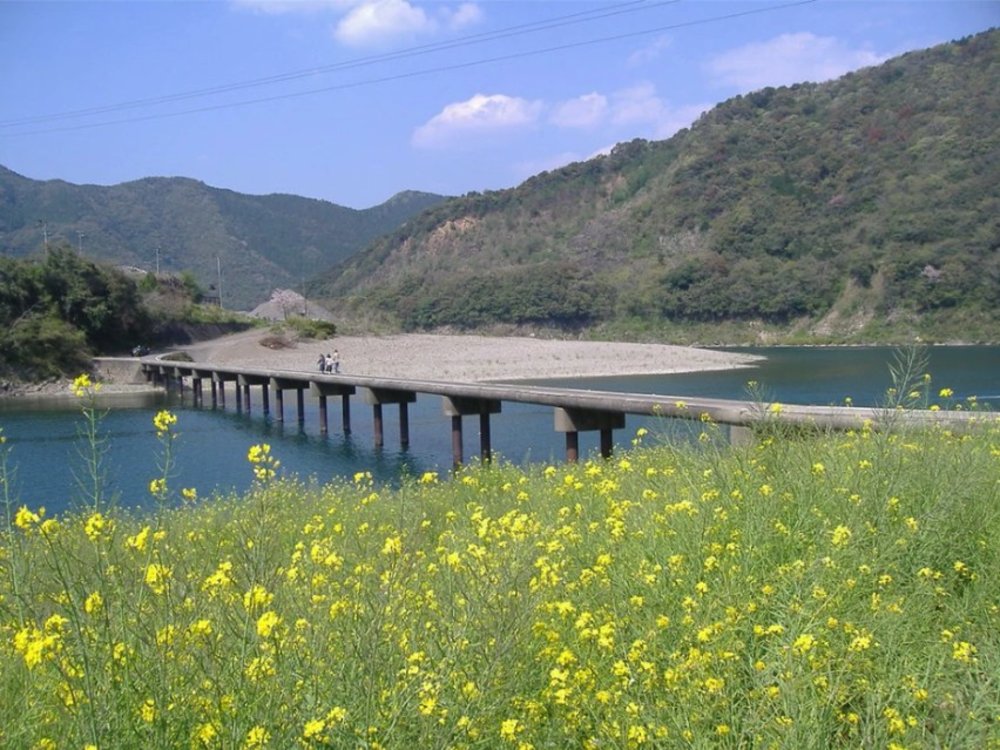 屋形船 四萬十川 高知 四國