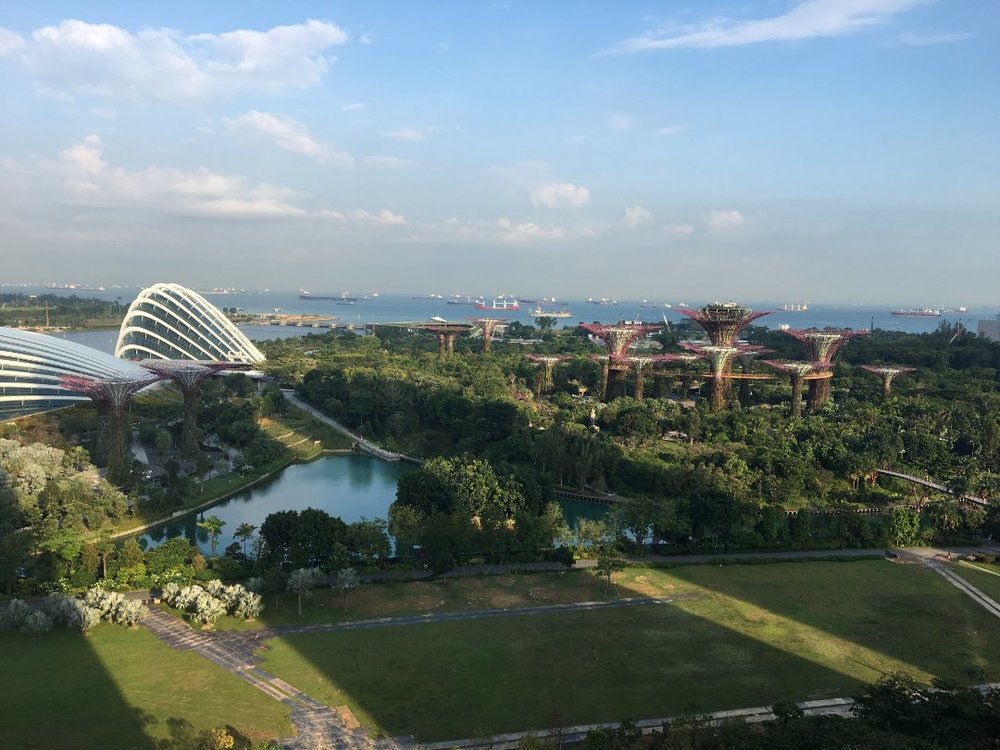 マリーナベイサンズ ガーデンビュールームからの景色