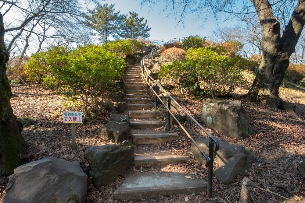 戸山公園・箱根山