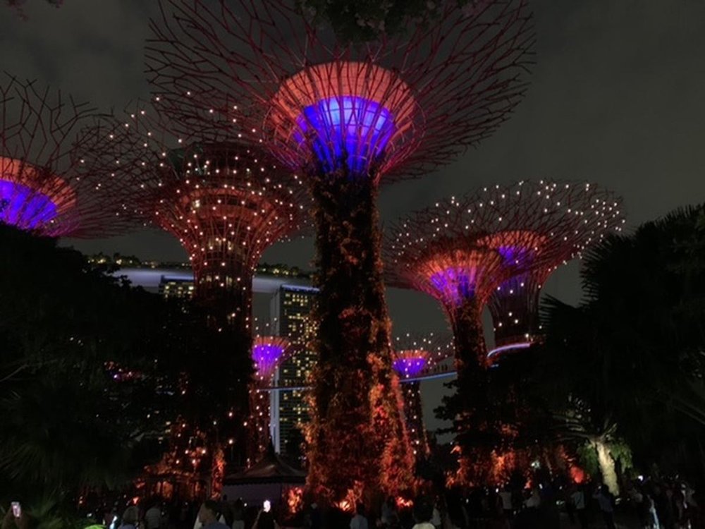 ガーデンズバイザベイ 夜景