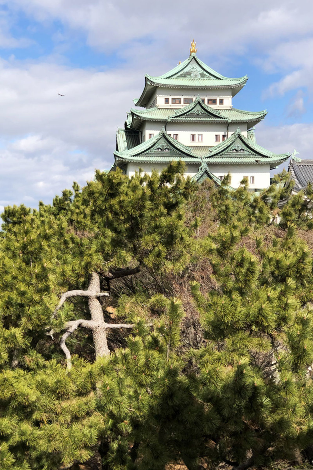 Nagoya Castle Exterior