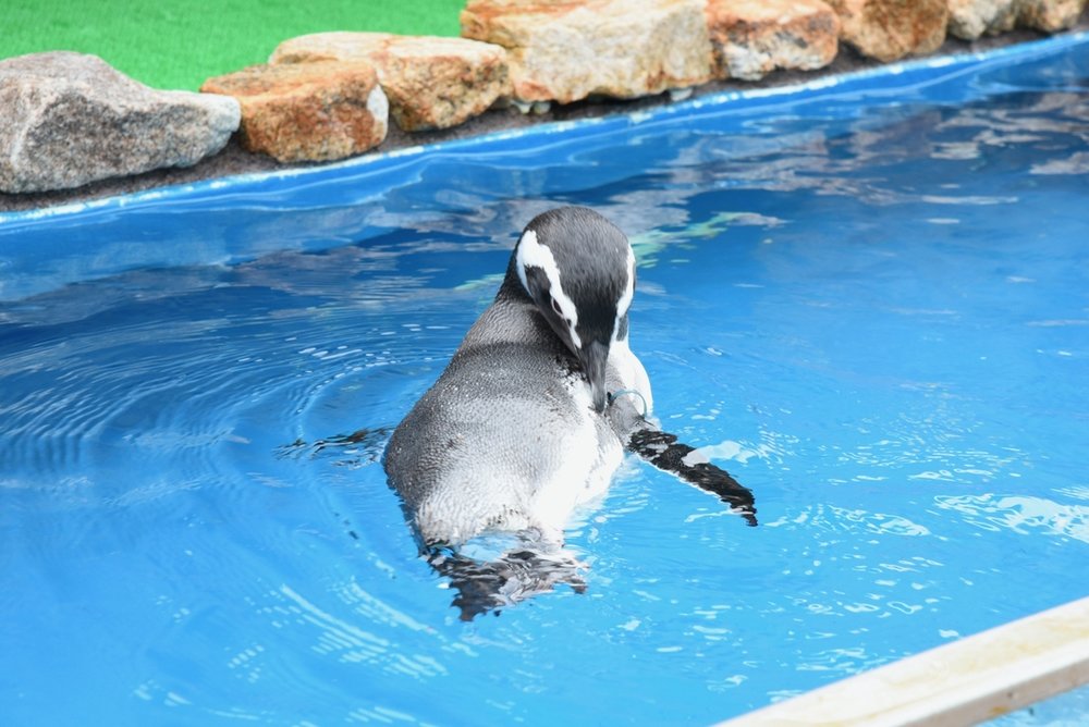 大分マリーンパレス水族館「うみたまご」