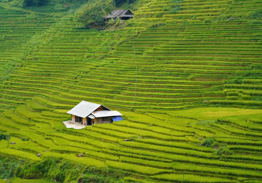 tour-du-lich-sapa