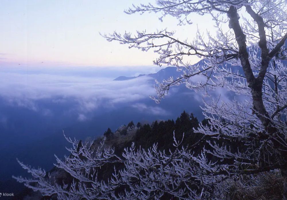 Khu Tham Quan Taipingshan National Forest