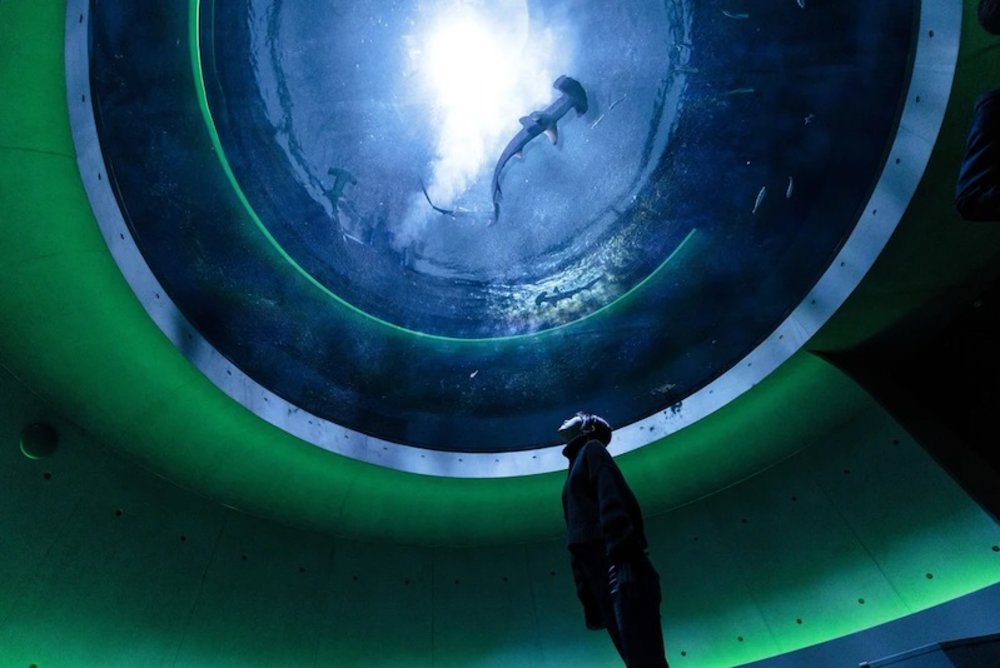 四國景點四國水族館