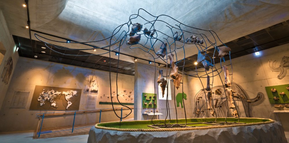 tau-cao-toc-dai-loan