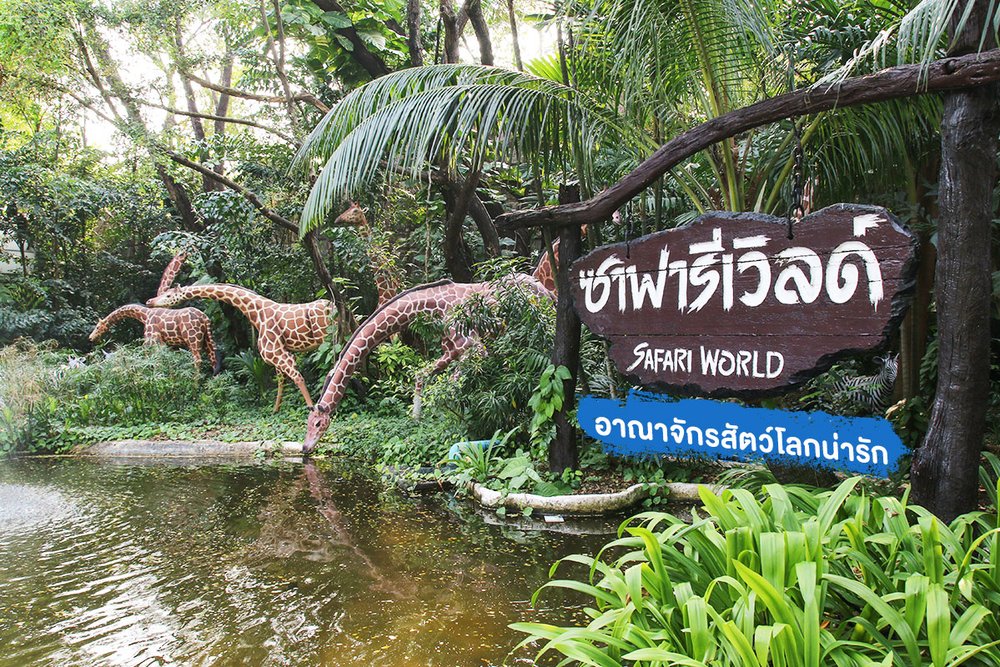 ซาฟารีเวิลด์ (Safari World) ที่เที่ยวใกล้กรุงเทพฯ | ขอบคุณรูปจาก blog.travizgo.com