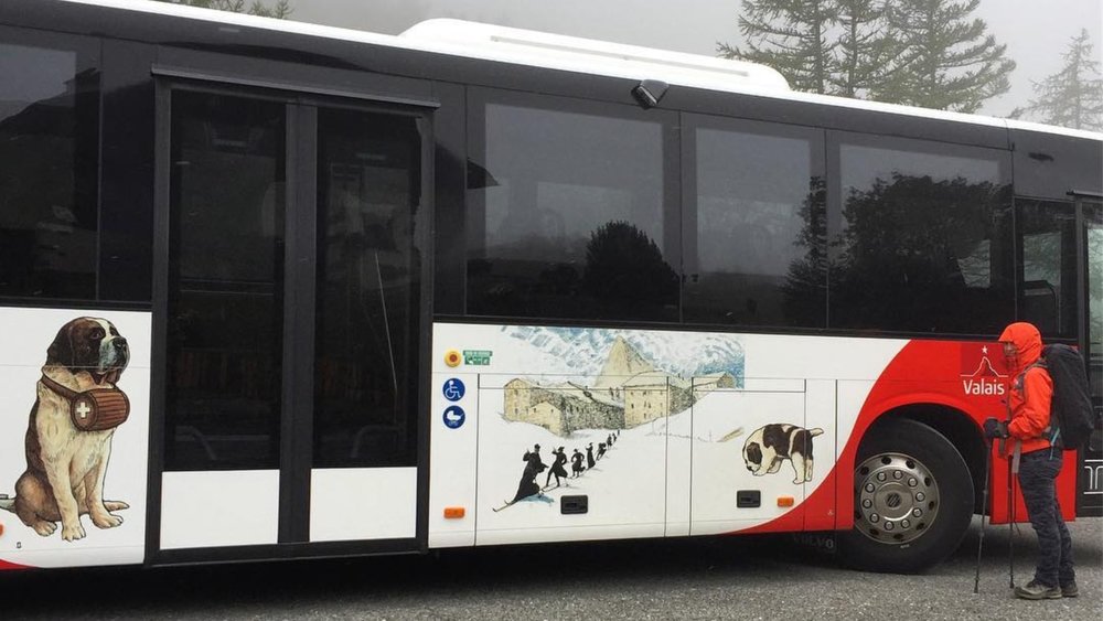 What are your travel essentials? Credits to @windykeala on Instagram