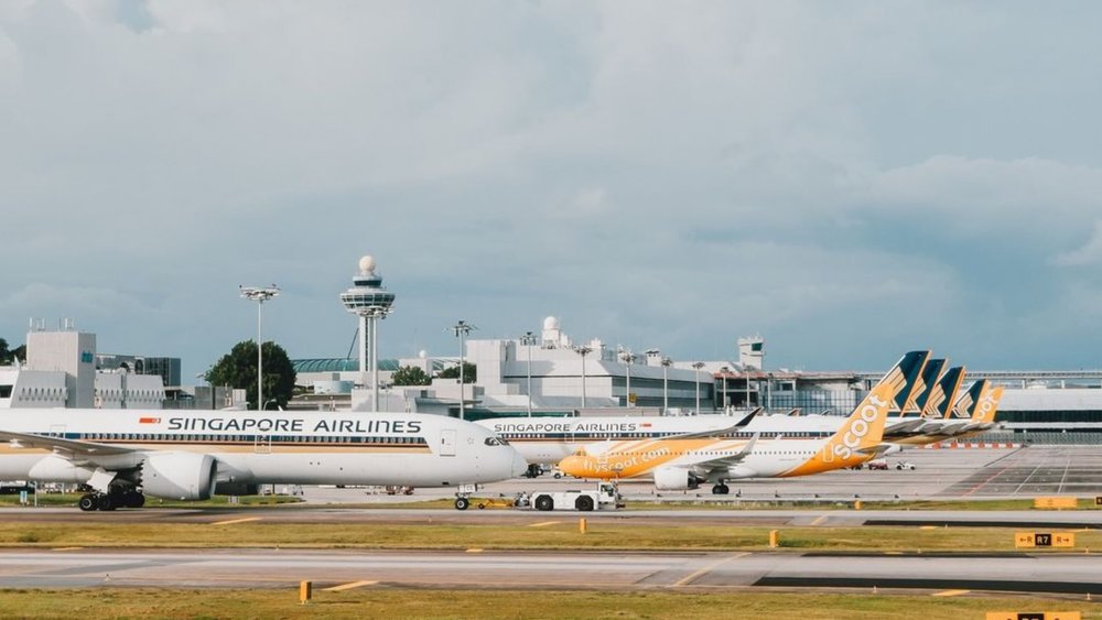 Watch aeroplanes fly and land at the Viewing Malls inside the airport. Credits to @changiairport