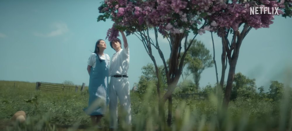 First Love初戀場景｜夕張丁香花樹