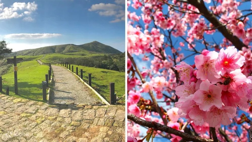 Yangmingshan National Park