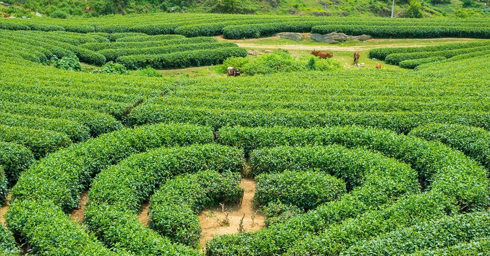 tour-du-lich-ha-noi-1-ngay