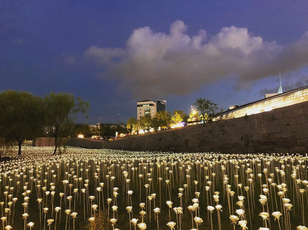 LED Rose Garden เอุทยานประวัติศาสตร์และวัฒนธรรมทงแดมุน