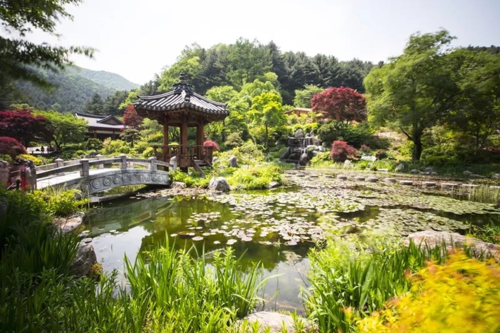 สวนการ์เดน ออฟ มอร์นิ่ง คาล์ม