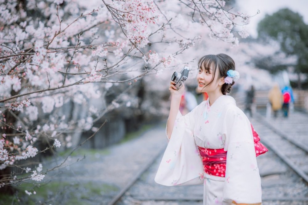 穿日本和服在櫻花樹下