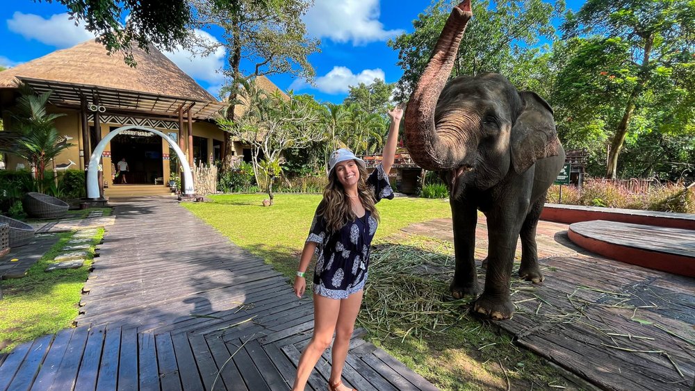 bali safari 