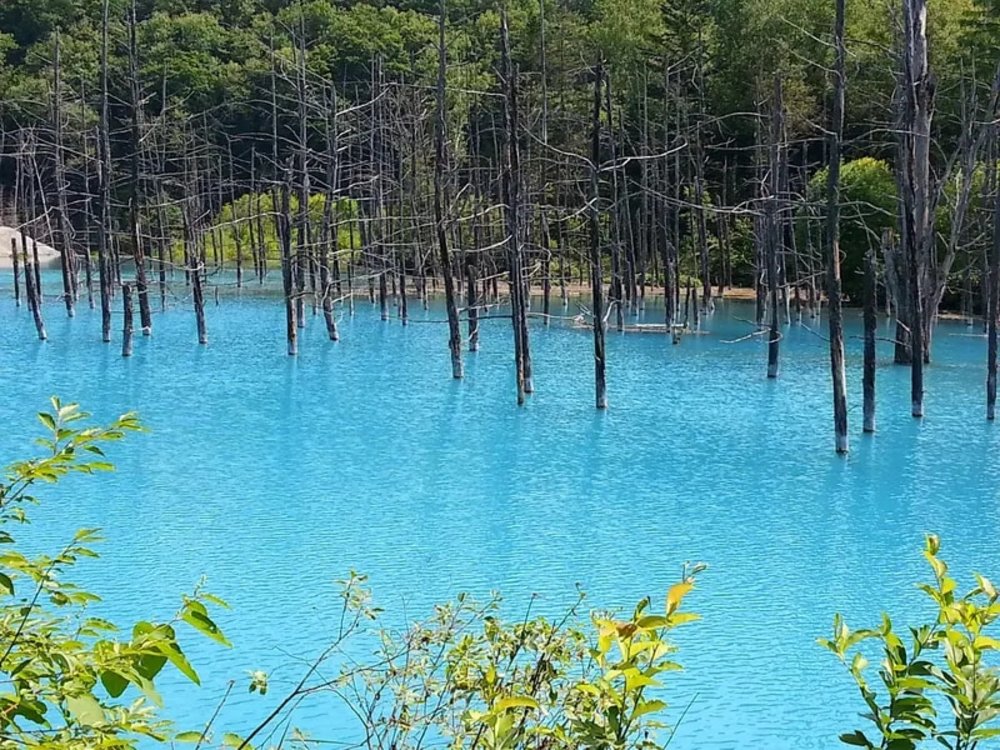 Shirogane Blue Pond