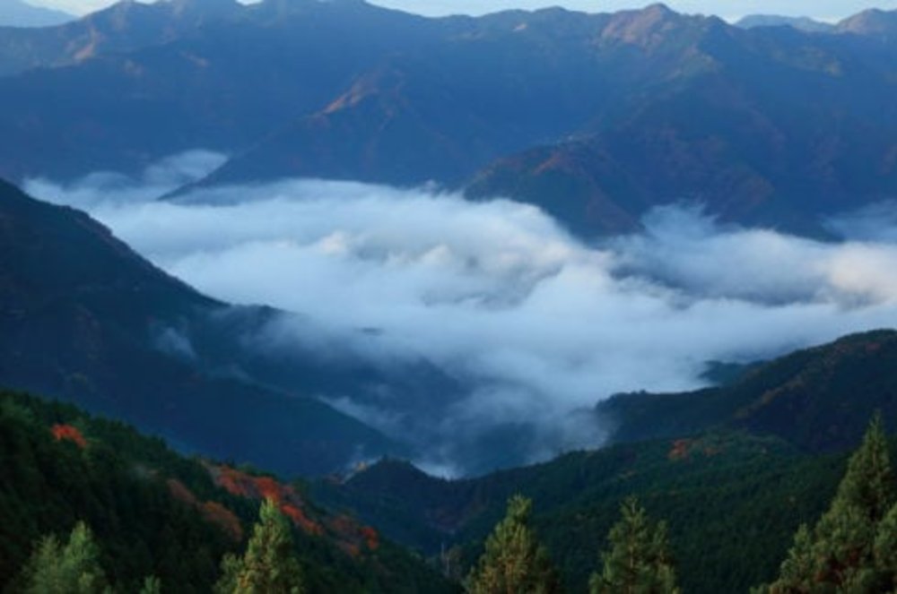 ภาพ Hachigo-kiri Unkai จาก: https://discovertokushima.net/