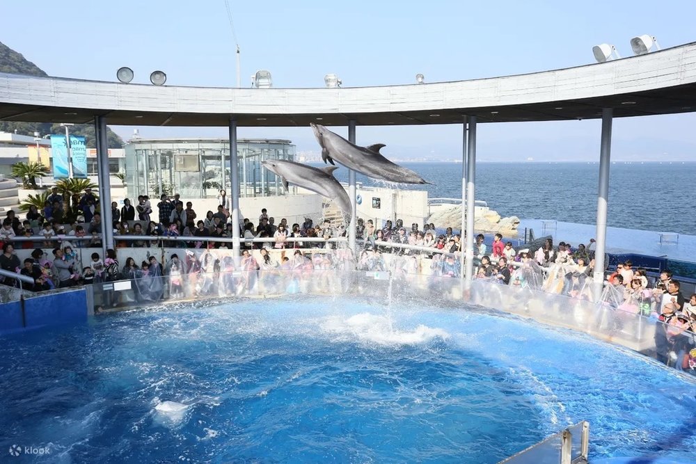 22209 大分マリーンパレス水族館