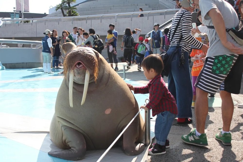 大分マリーンパレス水族館