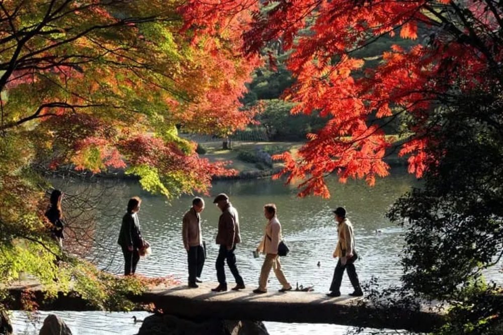 สะพานหินโทเง็ตสึเคียว สวนริคุงิเอน