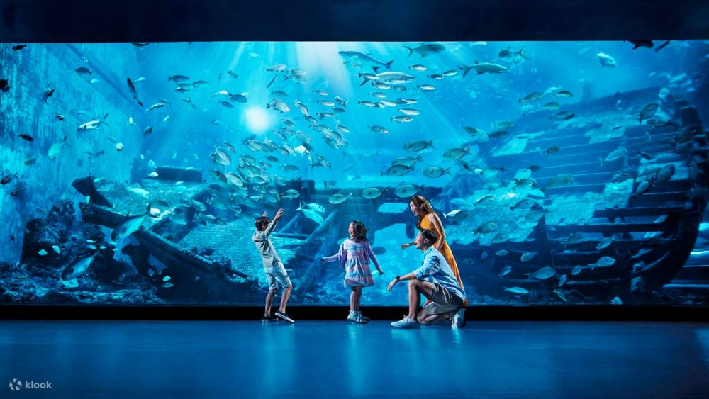a family exploring the S.E.A. Aquarium Sentosa