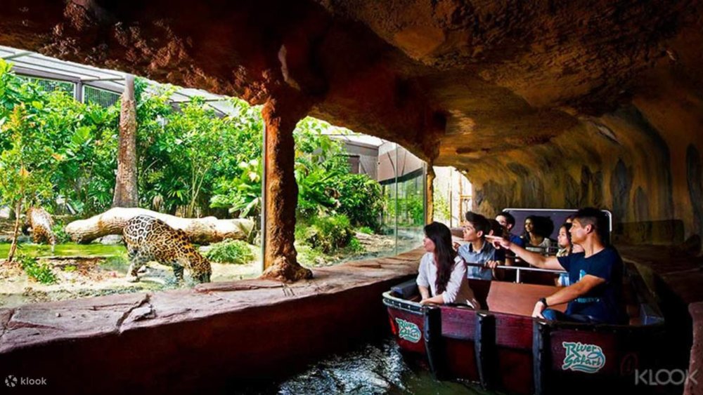 tourists enjoying River Wonders
