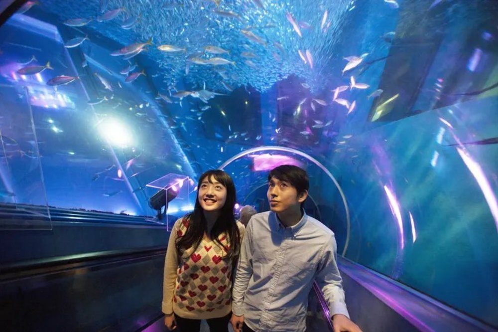 Hakkeijima Sea Paradise