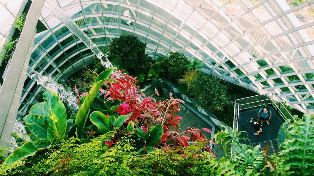 Gardens by the Bay is home to more than 217,000 plants. Credits to Yu Kato on Unsplash