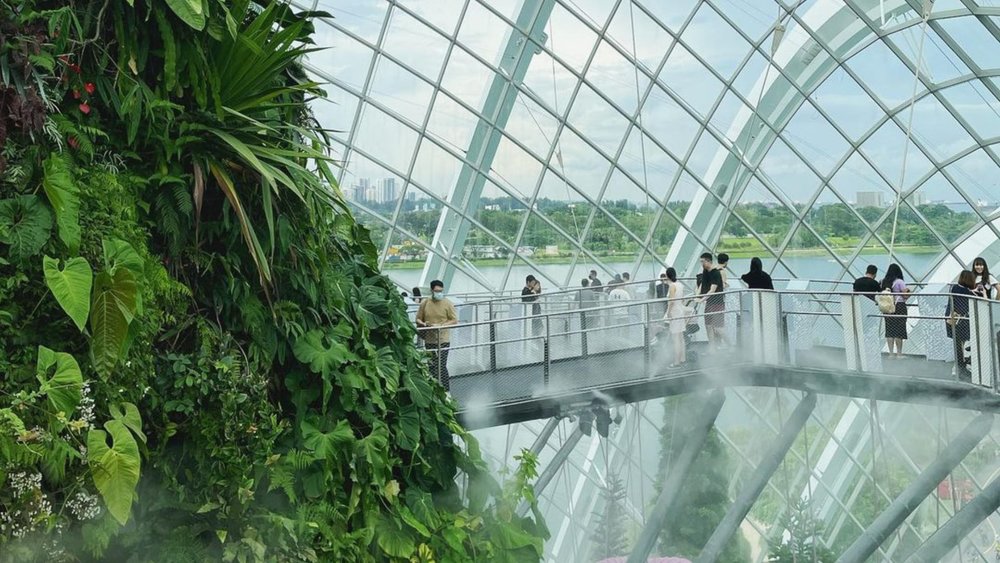 Did you know that Gardens by the Bay covers 101 hectares? Credits to @jill_lv723