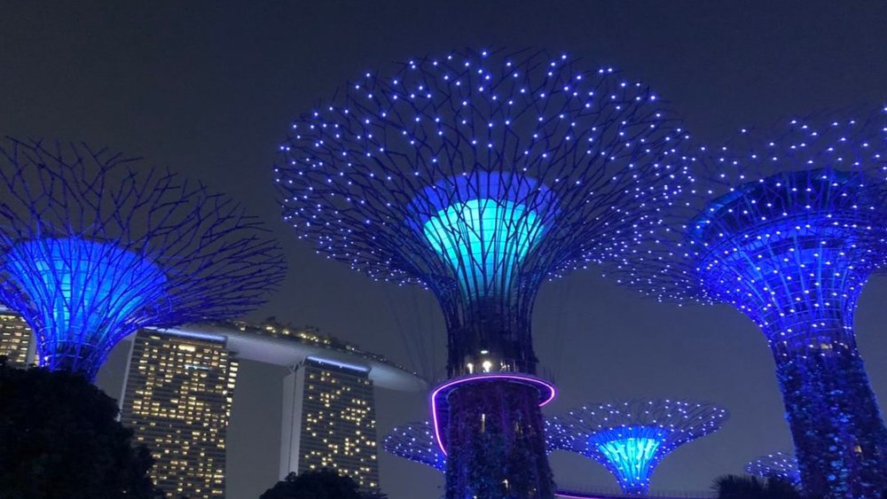 Set your alarms for the Garden Rhapsody! Credits to @ianrmccullough