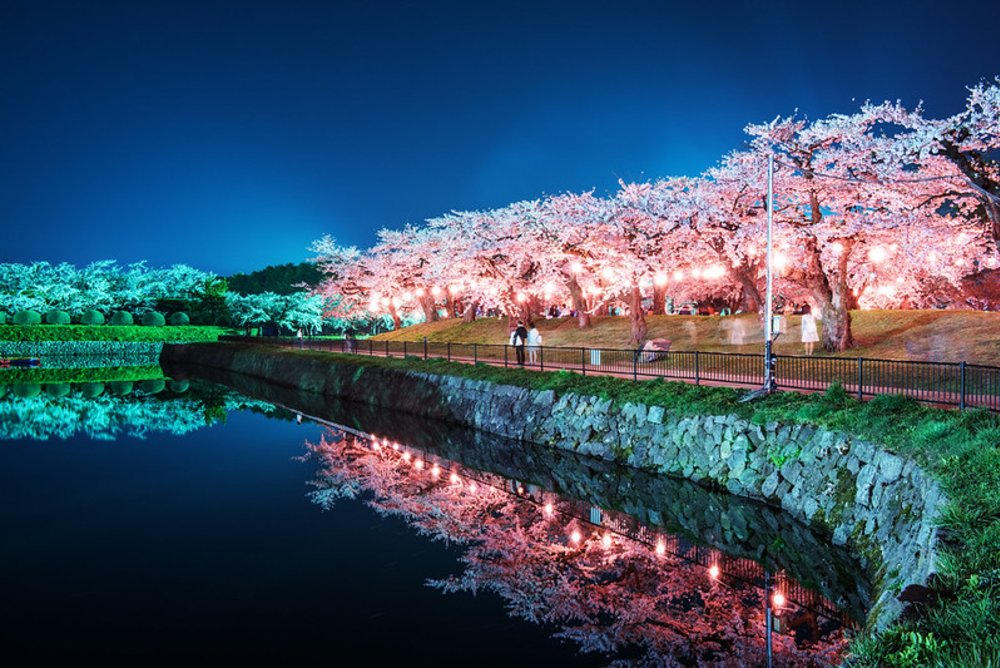 北海道賞櫻景點