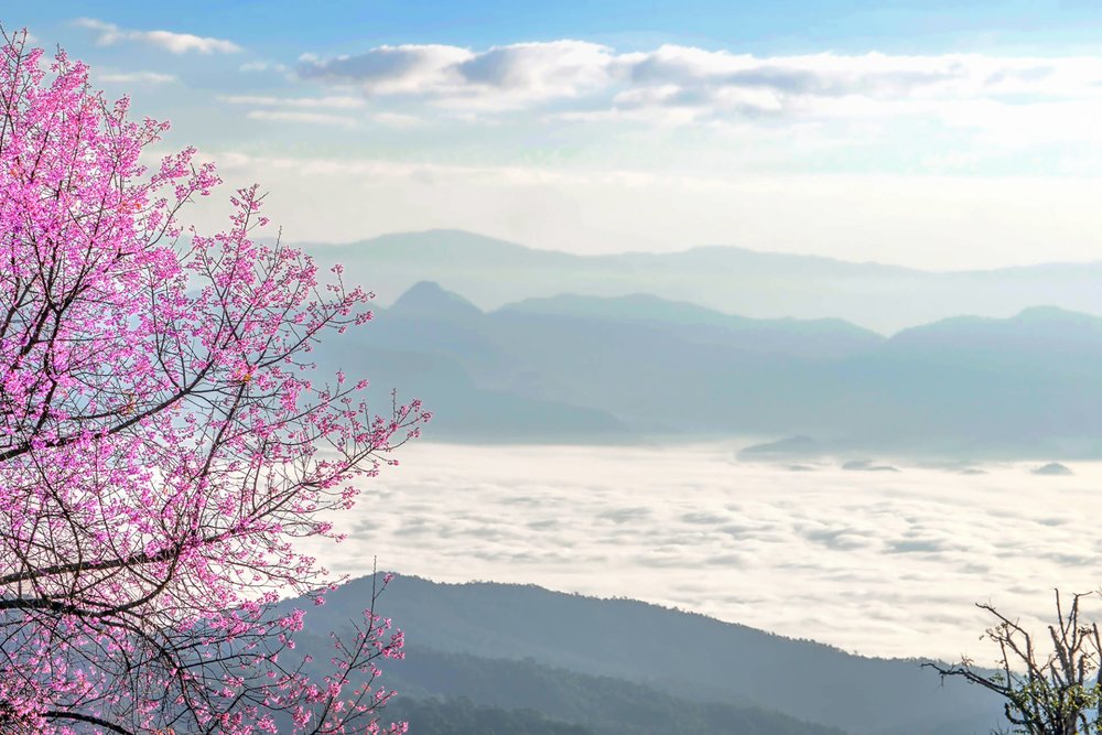 เสน่ห์ฤดูหนาว คือได้สัมผัสลมเย็น ชื่นชมธรรมชาติที่สวยงาม!