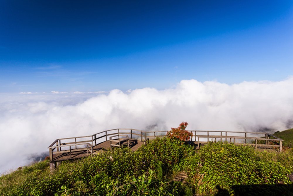 รับอากาศหนาวเย็น บริเวณหน้าผาระหว่างเส้นทางธรรมชาติกิ่วแม่ปาน | ขอบคุณรูปภาพจาก kapook.com