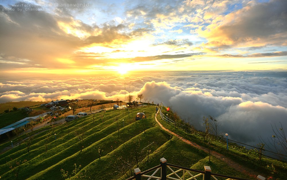 ชมทะเลหมอก ที่ภูทับเบิก เขาค้อ จังหวัดเพชรบูรณ์ | รูปภาพจาก travel.mthai.com