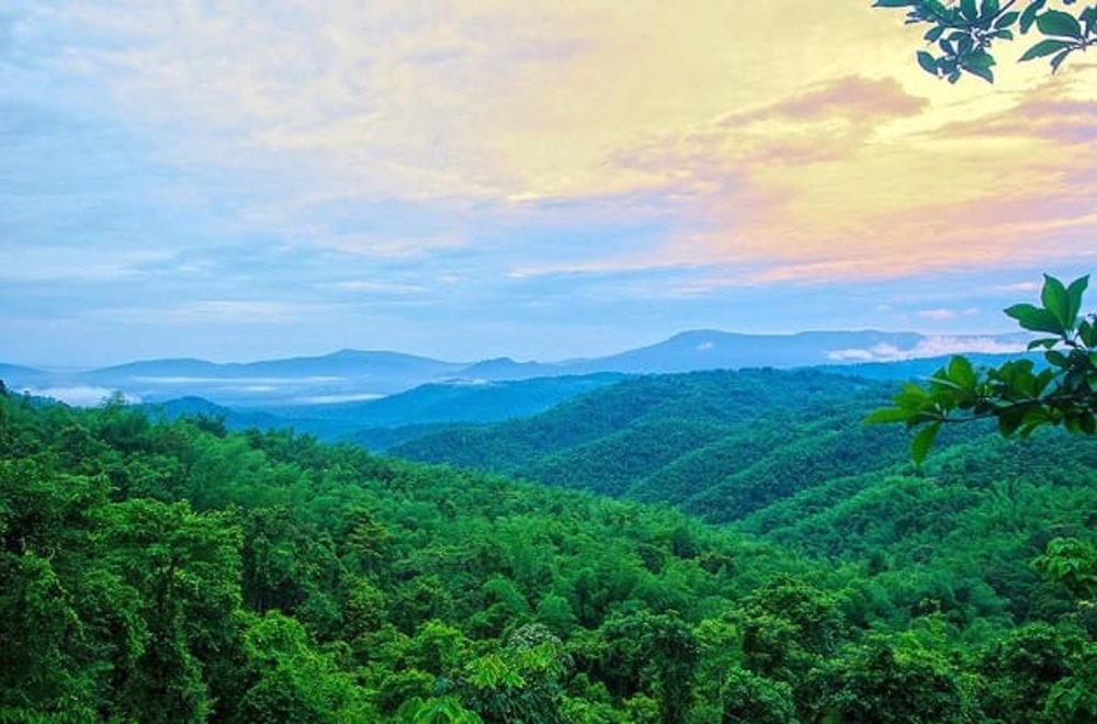 อำเภอวังน้ำเขียว ตั้งอยู่ในนครราชสีมา ที่เที่ยวหน้าหนาวแนวธรรมชาติ ไม่ไกลจากกรุงเทพ