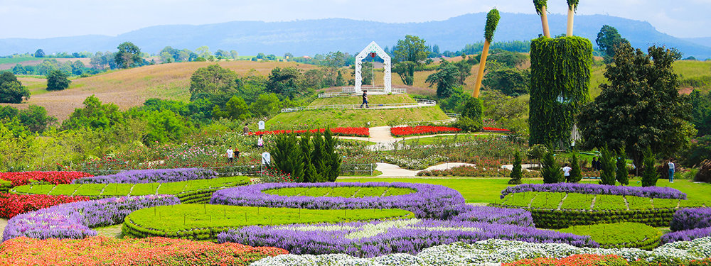 ฟลอร่า พาร์ค วังน้ำเขียว จุดชมความสวยงามของดอกไม้หลายพืชพันธุ์ | รูปภาพจาก travel.kapook.com