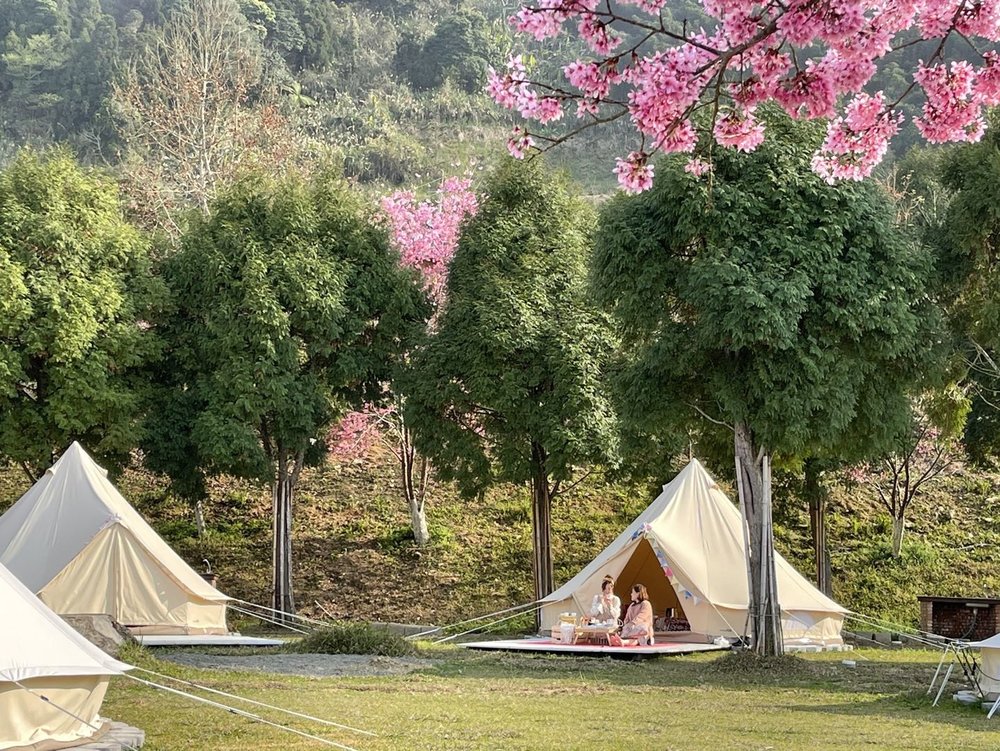 Ladies sitting inside a tent surrounded by trees